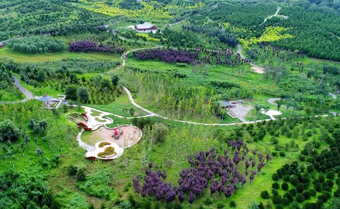 乐橙国际·lc8(中国游)官方网站