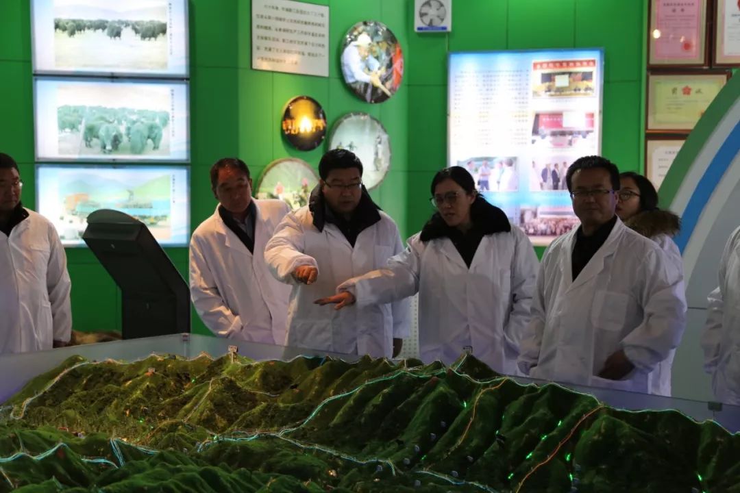 乐橙国际·lc8(中国游)官方网站