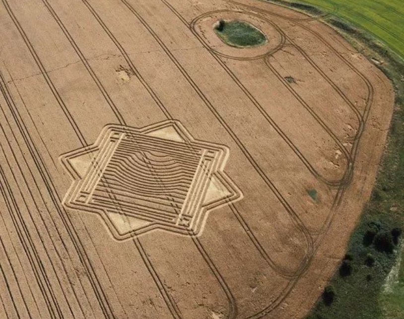 乐橙国际·lc8(中国游)官方网站