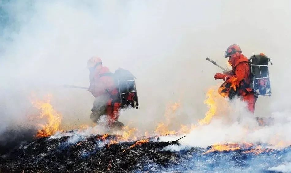 乐橙国际·lc8(中国游)官方网站