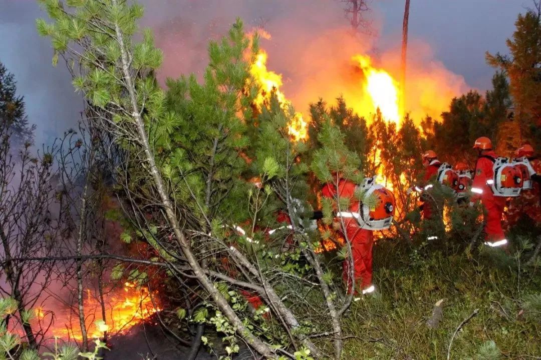 乐橙国际·lc8(中国游)官方网站