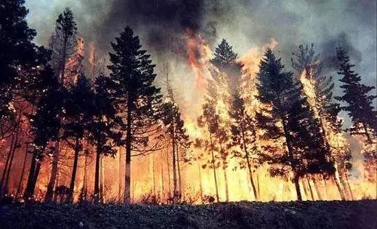 乐橙国际·lc8(中国游)官方网站