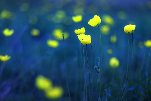 乐橙国际·lc8(中国游)官方网站