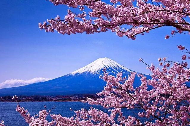 乐橙国际·lc8(中国游)官方网站