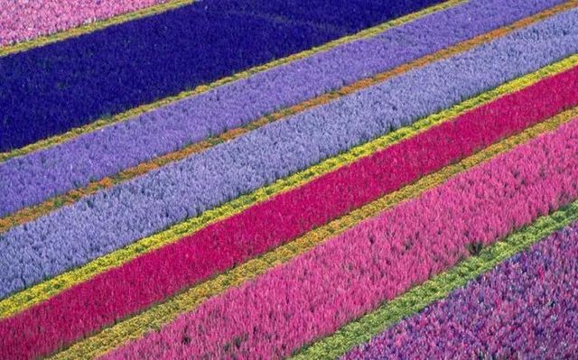 乐橙国际·lc8(中国游)官方网站