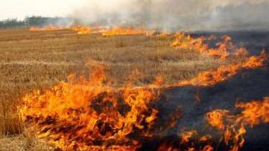 乐橙国际·lc8(中国游)官方网站