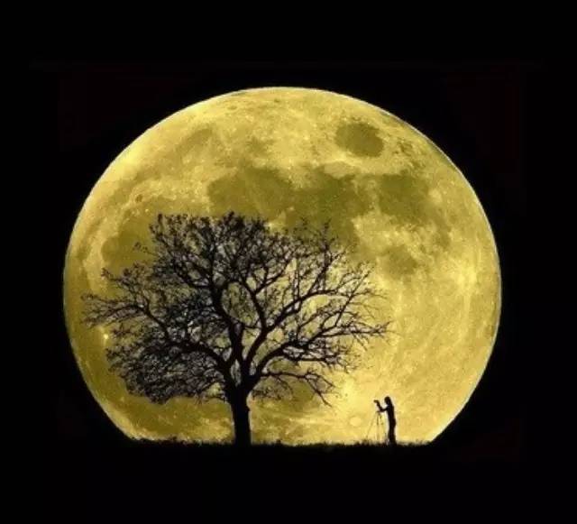 乐橙国际·lc8(中国游)官方网站