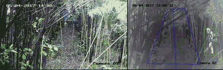 乐橙国际·lc8(中国游)官方网站