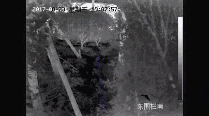 乐橙国际·lc8(中国游)官方网站