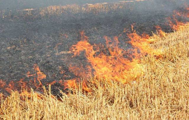 乐橙国际·lc8(中国游)官方网站