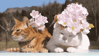 乐橙国际·lc8(中国游)官方网站