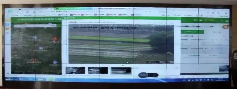 乐橙国际·lc8(中国游)官方网站