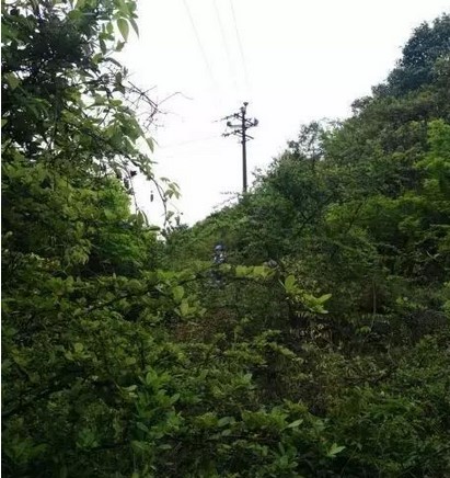 乐橙国际·lc8(中国游)官方网站