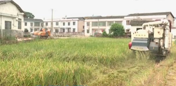 乐橙国际·lc8(中国游)官方网站