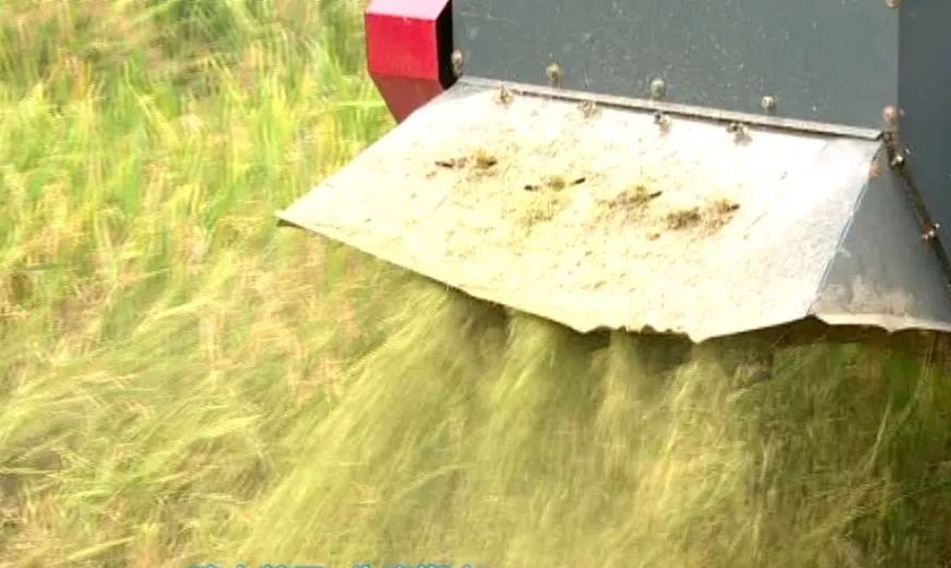 乐橙国际·lc8(中国游)官方网站