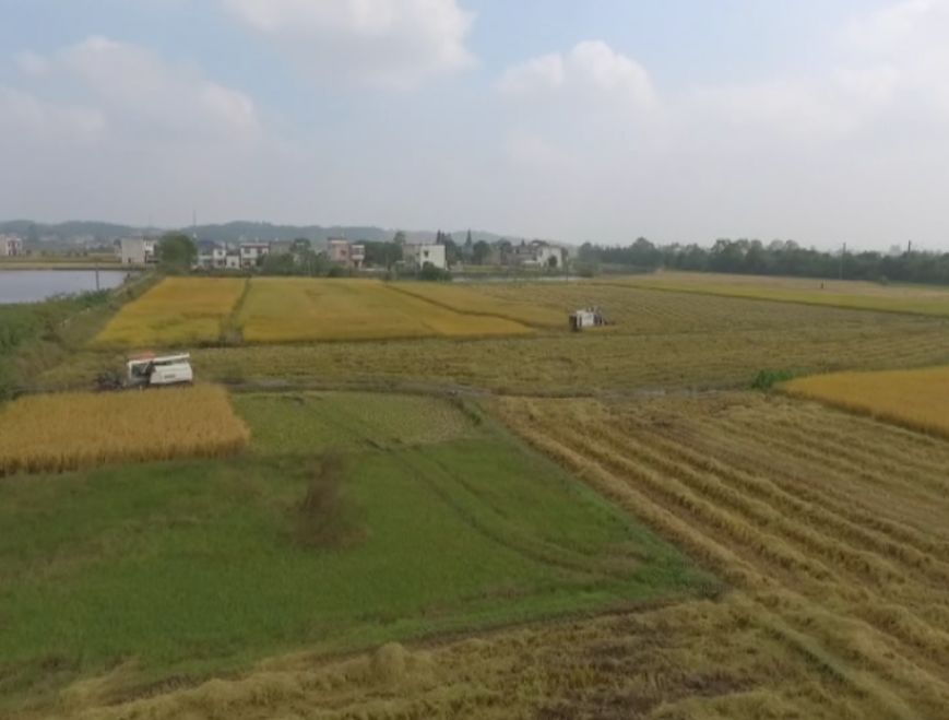 乐橙国际·lc8(中国游)官方网站