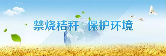 乐橙国际·lc8(中国游)官方网站