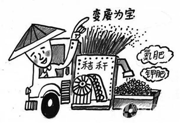 乐橙国际·lc8(中国游)官方网站