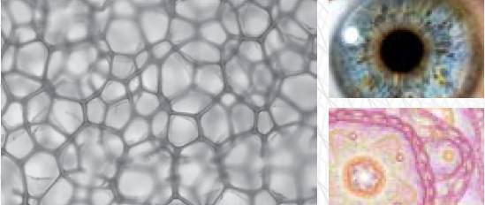 乐橙国际·lc8(中国游)官方网站