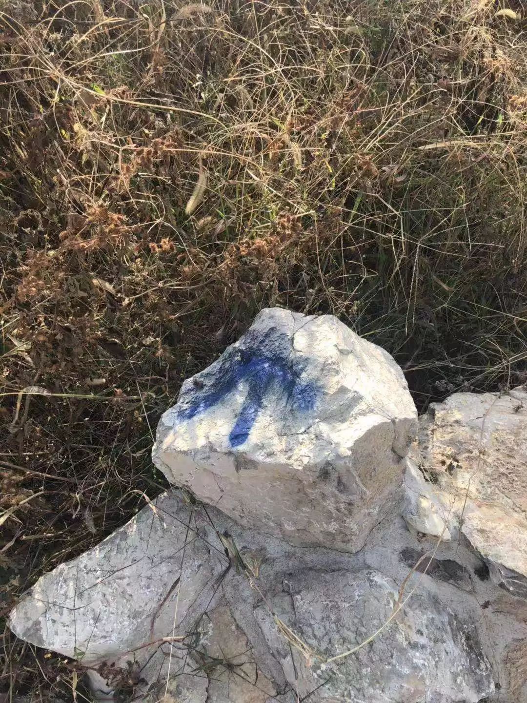 乐橙国际·lc8(中国游)官方网站