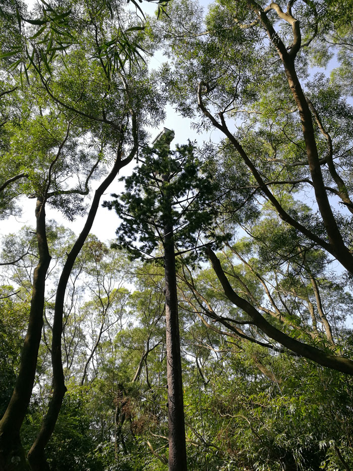 乐橙国际·lc8(中国游)官方网站