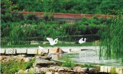 乐橙国际·lc8(中国游)官方网站