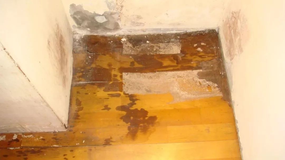 乐橙国际·lc8(中国游)官方网站