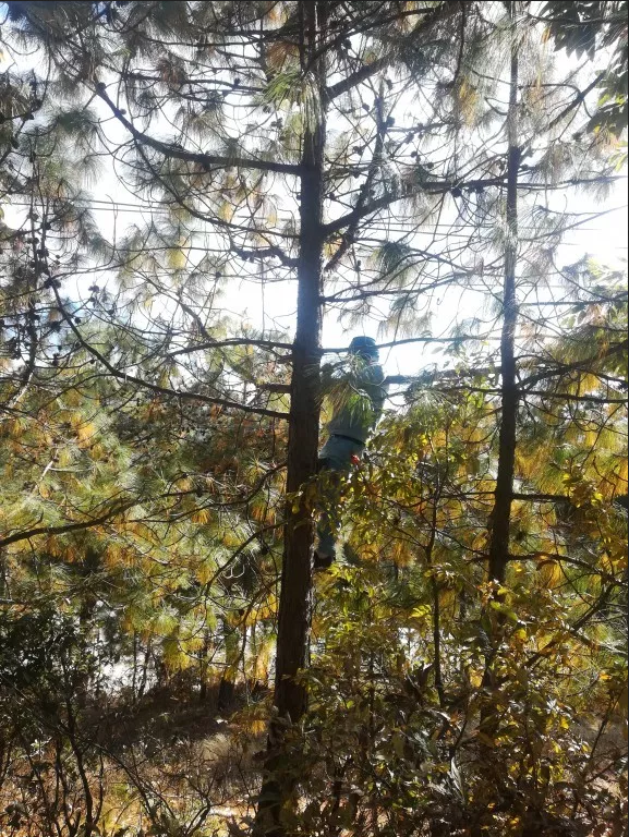 乐橙国际·lc8(中国游)官方网站