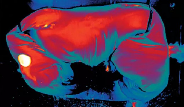 乐橙国际·lc8(中国游)官方网站