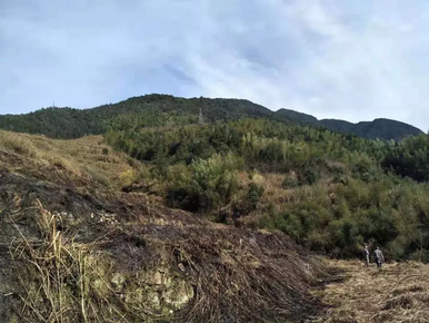 乐橙国际·lc8(中国游)官方网站