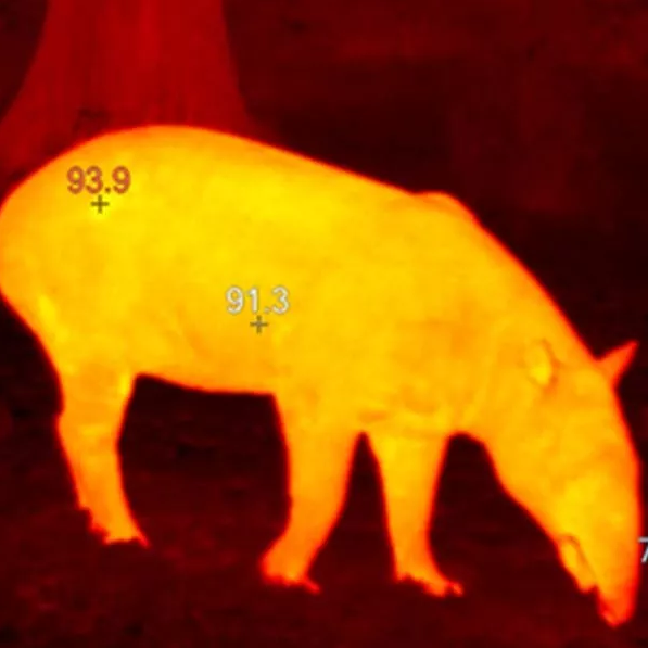 乐橙国际·lc8(中国游)官方网站