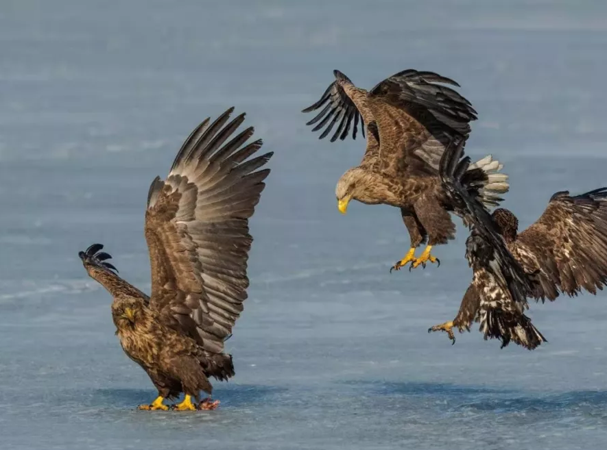 乐橙国际·lc8(中国游)官方网站