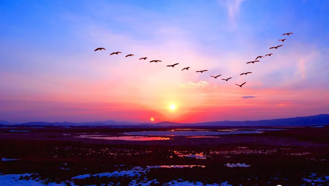 乐橙国际·lc8(中国游)官方网站