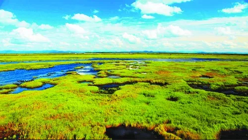 乐橙国际·lc8(中国游)官方网站