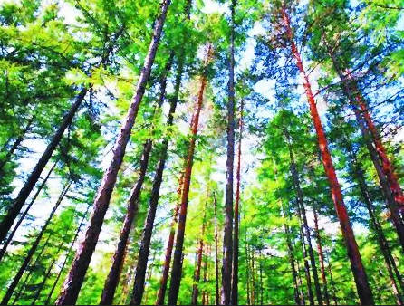 乐橙国际·lc8(中国游)官方网站