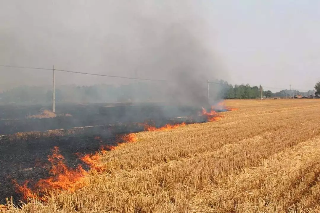 乐橙国际·lc8(中国游)官方网站