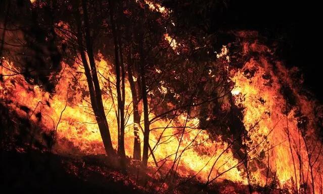 乐橙国际·lc8(中国游)官方网站