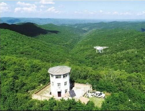 乐橙国际·lc8(中国游)官方网站