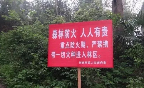 乐橙国际·lc8(中国游)官方网站