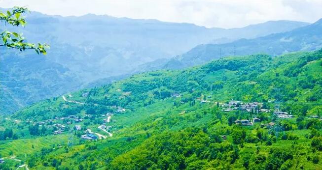 乐橙国际·lc8(中国游)官方网站