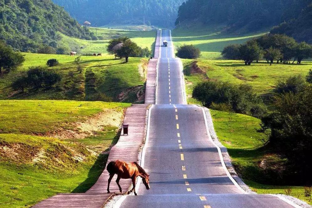 乐橙国际·lc8(中国游)官方网站