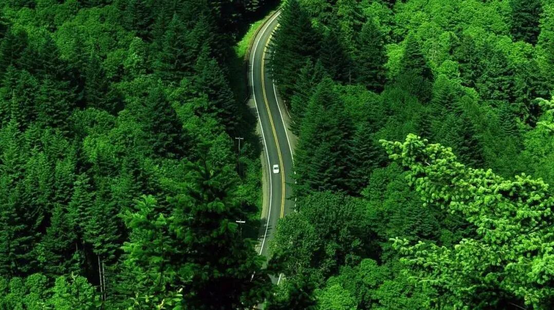 乐橙国际·lc8(中国游)官方网站