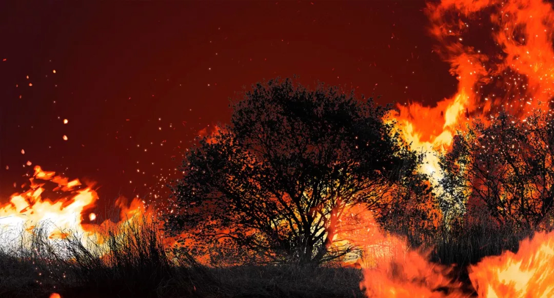 乐橙国际·lc8(中国游)官方网站