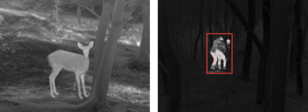 乐橙国际·lc8(中国游)官方网站