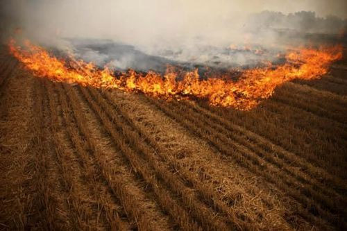 乐橙国际·lc8(中国游)官方网站